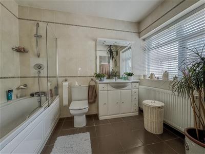 Picture 15